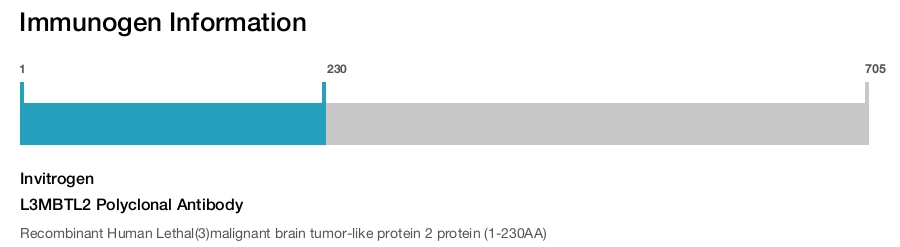 L3MBTL2 Polyclonal Antibody