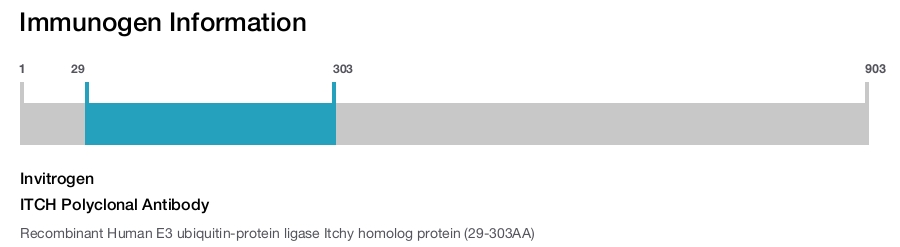 ITCH Polyclonal Antibody