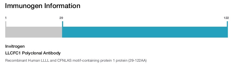 LLCFC1 Polyclonal Antibody