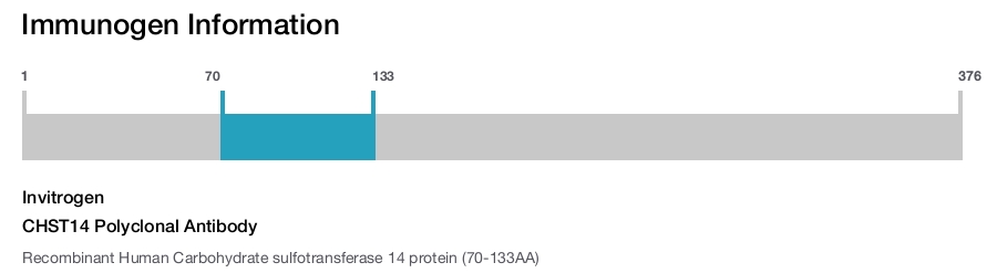 CHST14 Polyclonal Antibody