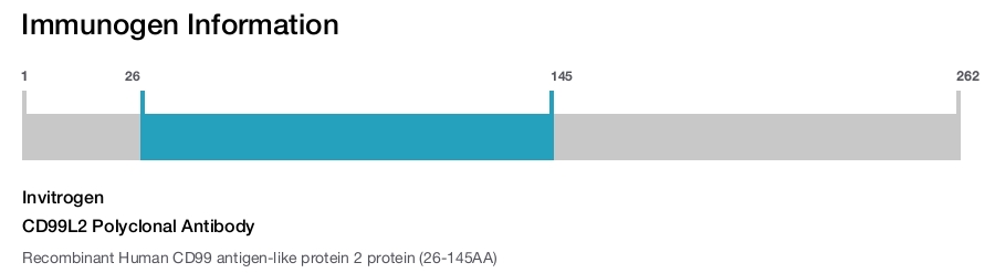 CD99L2 Polyclonal Antibody