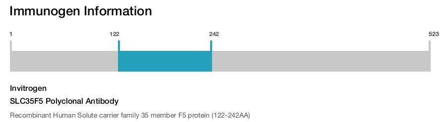 SLC35F5 Polyclonal Antibody