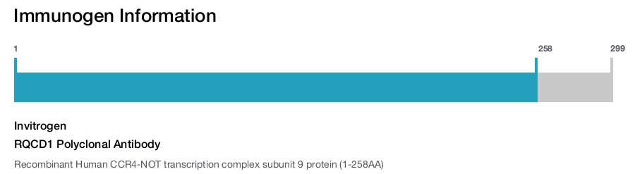 RQCD1 Polyclonal Antibody