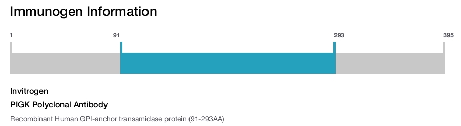 PIGK Polyclonal Antibody