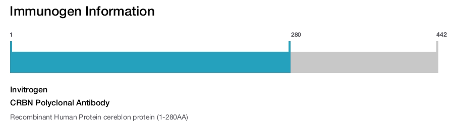 CRBN Polyclonal Antibody