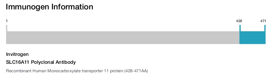 SLC16A11 Polyclonal Antibody