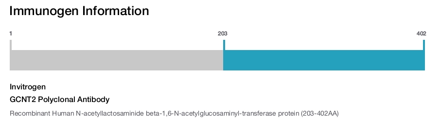 GCNT2 Polyclonal Antibody