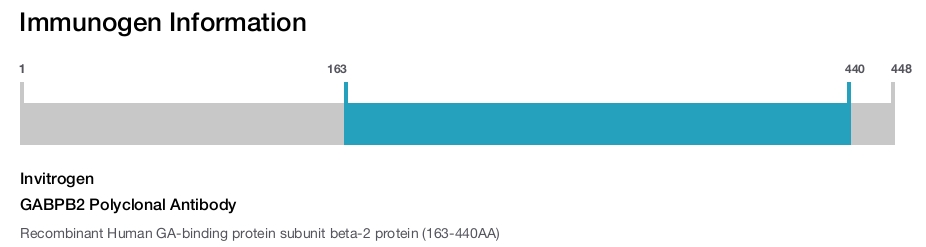 GABPB2 Polyclonal Antibody