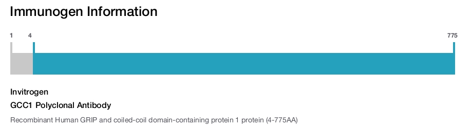GCC1 Polyclonal Antibody