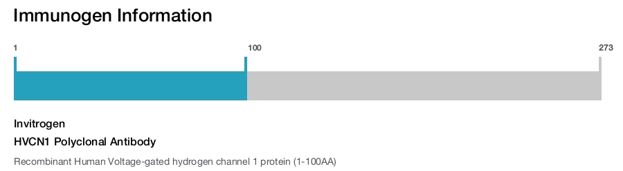 HVCN1 Polyclonal Antibody