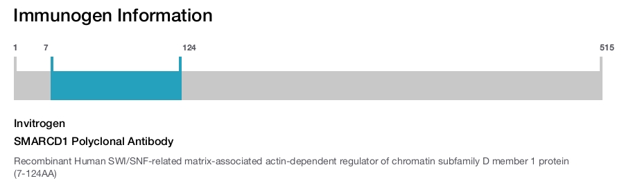 SMARCD1 Polyclonal Antibody