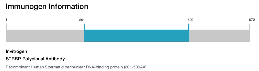 STRBP Polyclonal Antibody