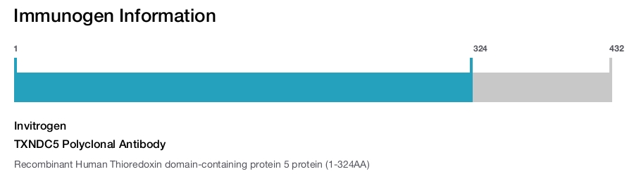 TXNDC5 Polyclonal Antibody