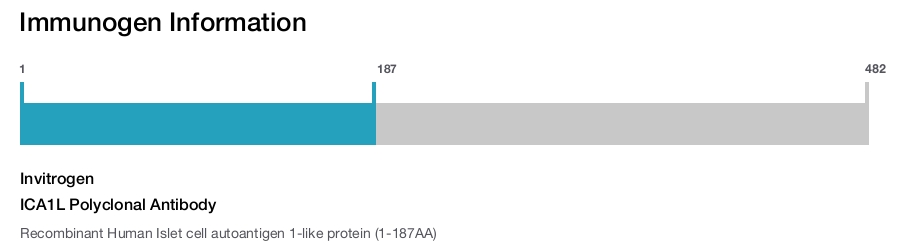 ICA1L Polyclonal Antibody