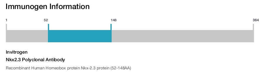 Nkx2.3 Polyclonal Antibody