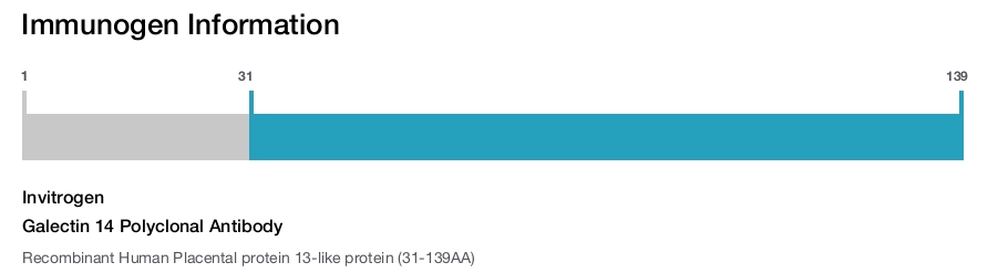 Galectin 14 Polyclonal Antibody