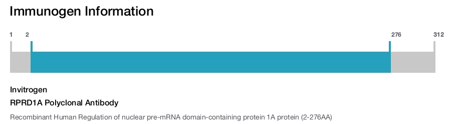 RPRD1A Polyclonal Antibody