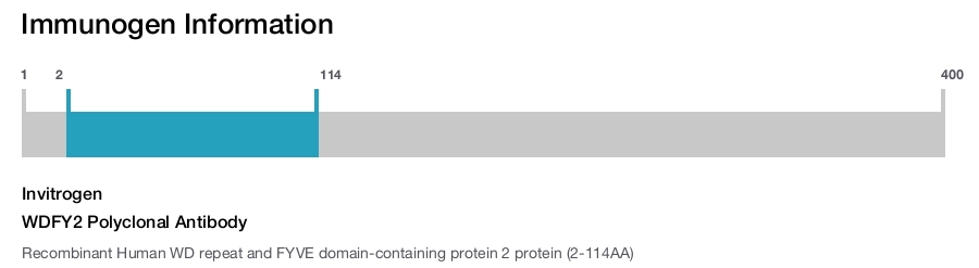 WDFY2 Polyclonal Antibody