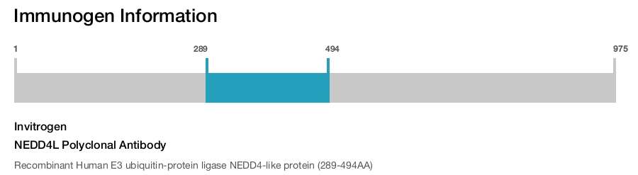 NEDD4L Polyclonal Antibody