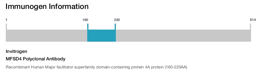 MFSD4 Polyclonal Antibody
