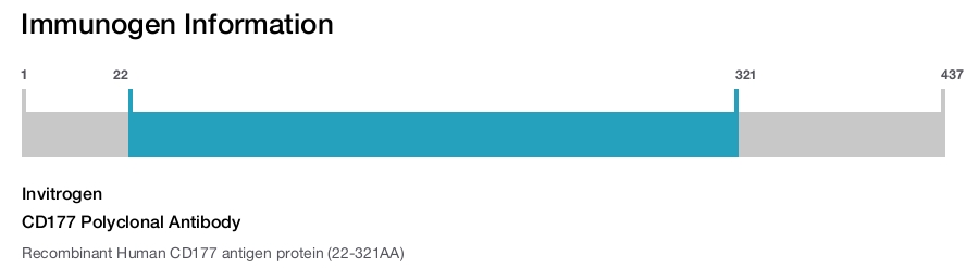 CD177 Polyclonal Antibody
