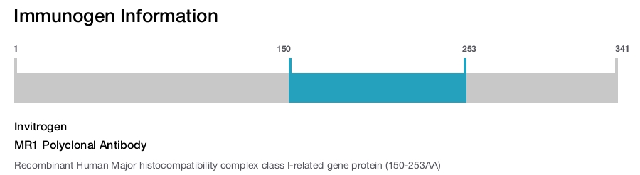 MR1 Polyclonal Antibody