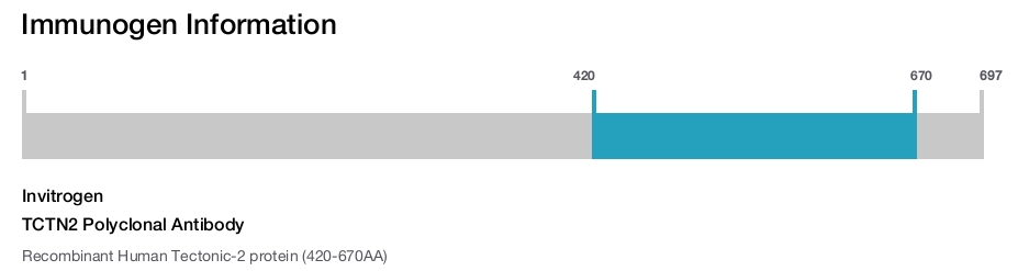 TCTN2 Polyclonal Antibody