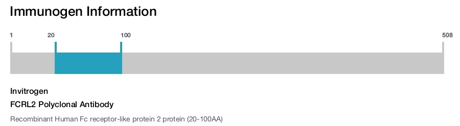 FCRL2 Polyclonal Antibody
