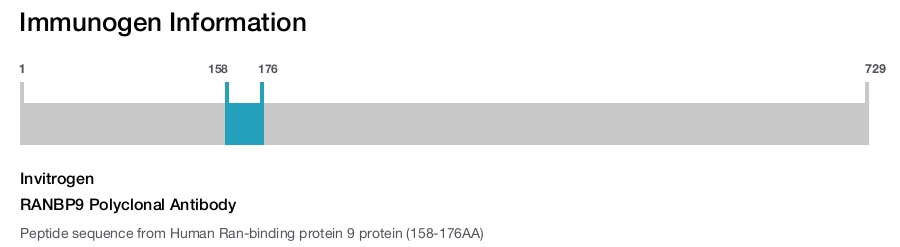 RANBP9 Polyclonal Antibody