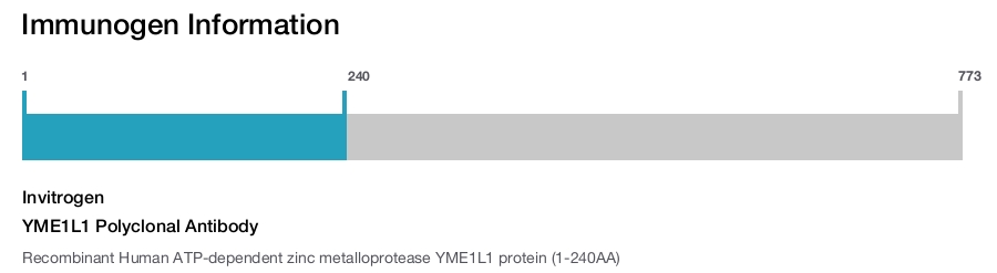 YME1L1 Polyclonal Antibody