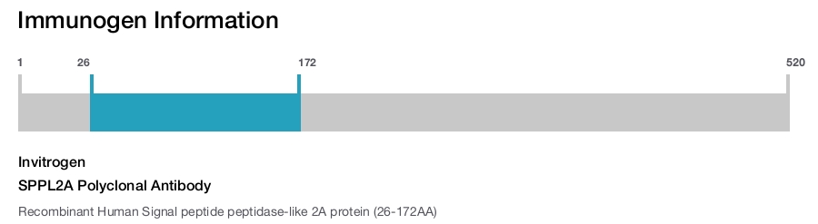 SPPL2A Polyclonal Antibody