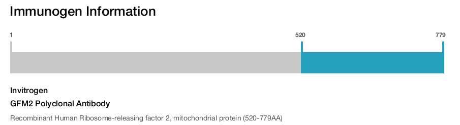 GFM2 Polyclonal Antibody