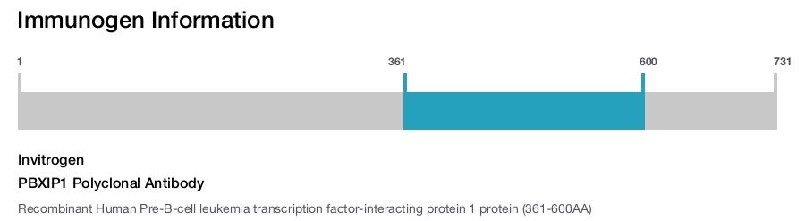 PBXIP1 Polyclonal Antibody