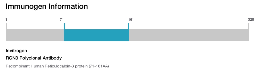 RCN3 Polyclonal Antibody