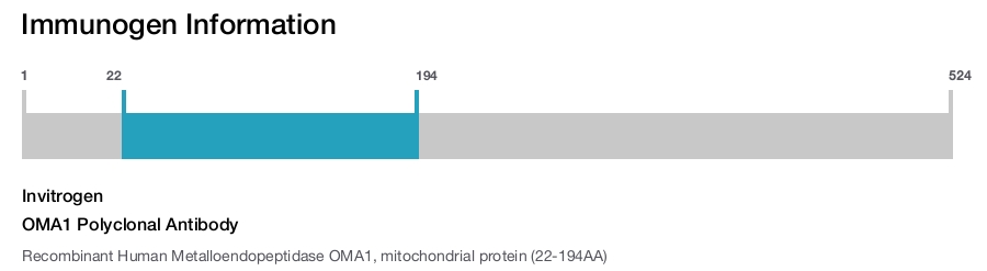 OMA1 Polyclonal Antibody