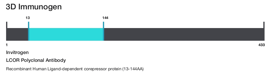 LCOR Polyclonal Antibody