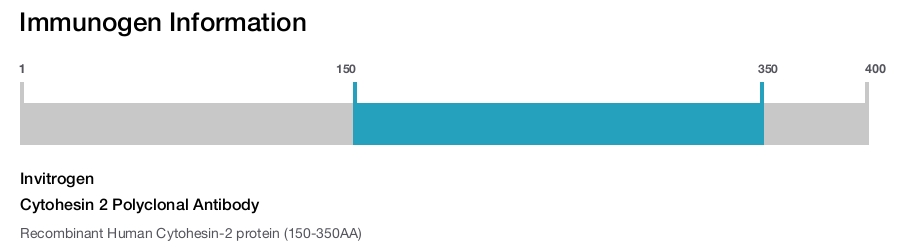 Cytohesin 2 Polyclonal Antibody