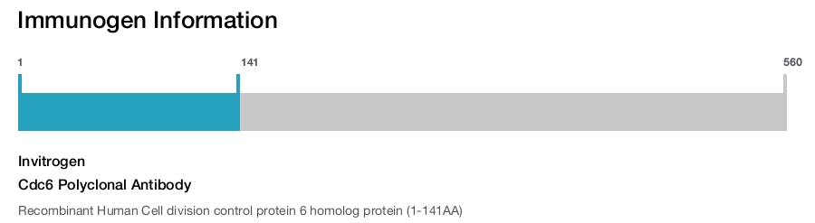 Cdc6 Polyclonal Antibody