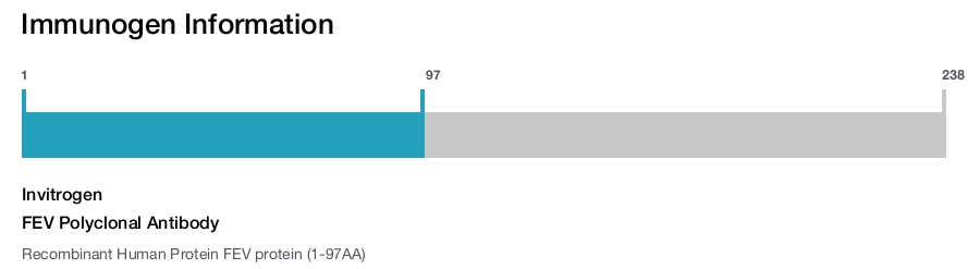 FEV Polyclonal Antibody