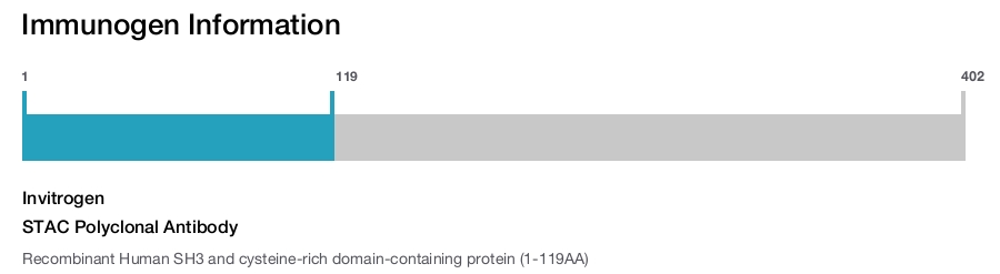 STAC Polyclonal Antibody
