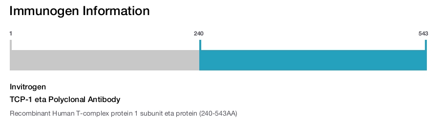 TCP-1 eta Polyclonal Antibody