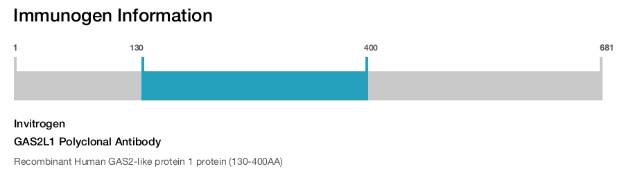 GAS2L1 Polyclonal Antibody