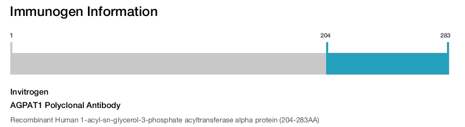 AGPAT1 Polyclonal Antibody