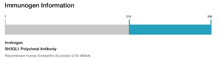 SH3GL1 Polyclonal Antibody