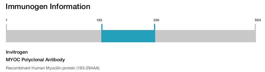 MYOC Polyclonal Antibody