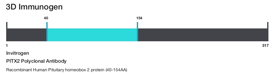 PITX2 Polyclonal Antibody