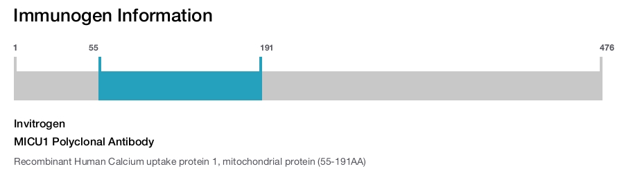 MICU1 Polyclonal Antibody