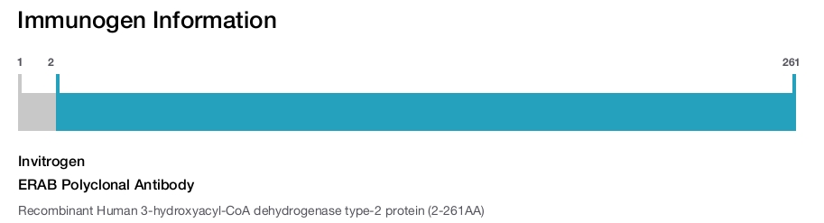 ERAB Polyclonal Antibody