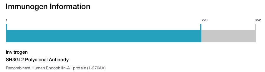 SH3GL2 Polyclonal Antibody