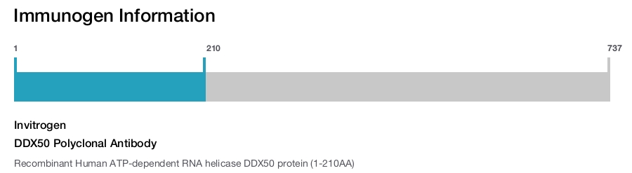 DDX50 Polyclonal Antibody